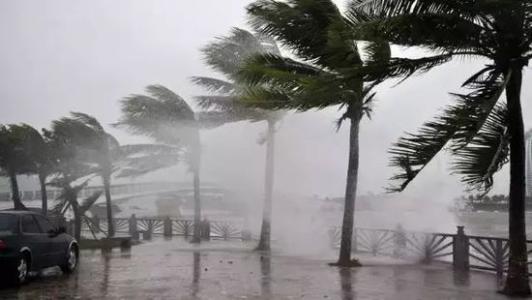 8月臺(tái)風(fēng)雨即將來，除濕機(jī)還得用起來