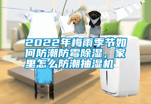 2022年梅雨季節(jié)如何防潮防霉除濕，家里怎么防潮抽濕機