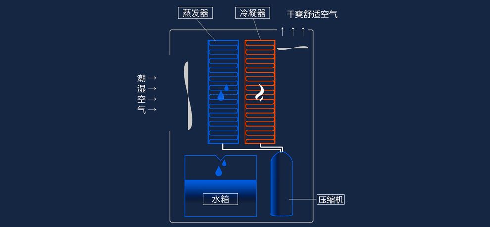 除濕機(jī)的構(gòu)成及原理