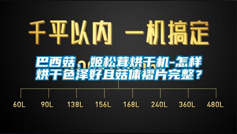 巴西菇、姬松茸烘干機(jī)-怎樣烘干色澤好且菇體褶片完整？