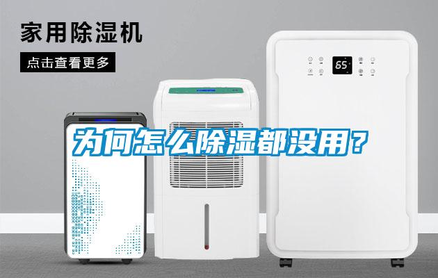 為何怎么除濕都沒用？