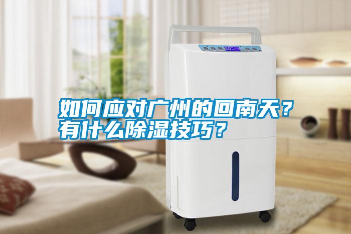 如何應(yīng)對廣州的回南天？有什么除濕技巧？