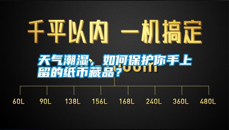 天氣潮濕，如何保護你手上留的紙幣藏品？