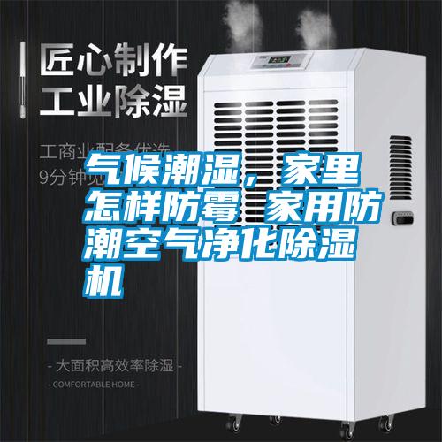 氣候潮濕，家里怎樣防霉 家用防潮空氣凈化除濕機(jī)