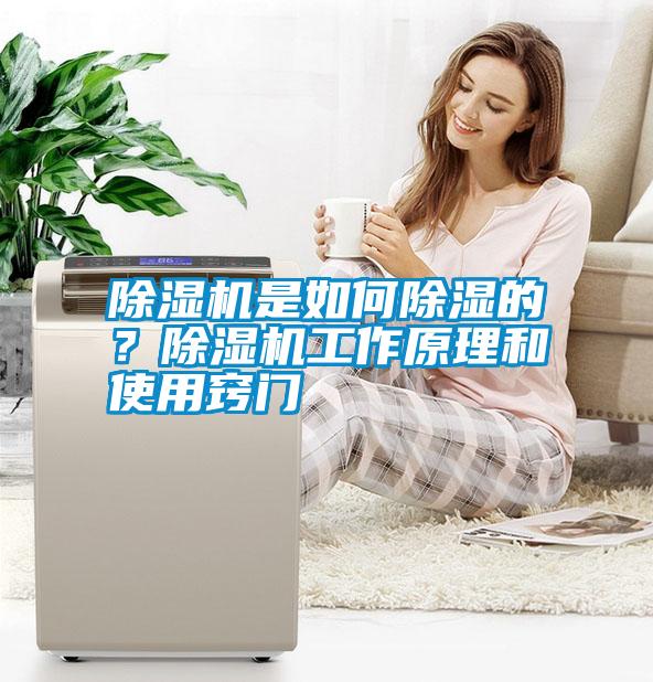 除濕機是如何除濕的？除濕機工作原理和使用竅門