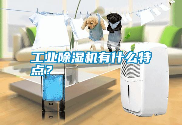 工業(yè)除濕機有什么特點？