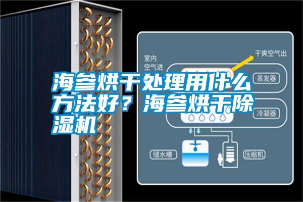 海參烘干處理用什么方法好？海參烘干除濕機(jī)