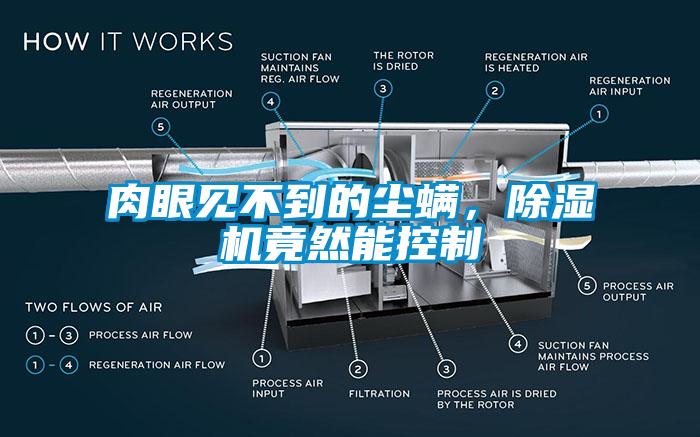 肉眼見不到的塵螨，除濕機(jī)竟然能控制