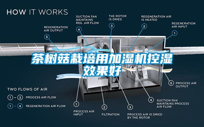 茶樹菇栽培用加濕機(jī)控濕效果好