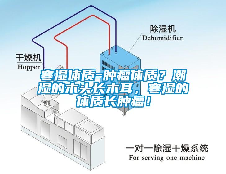 寒濕體質(zhì)=腫瘤體質(zhì)？潮濕的木頭長(zhǎng)木耳，寒濕的體質(zhì)長(zhǎng)腫瘤！