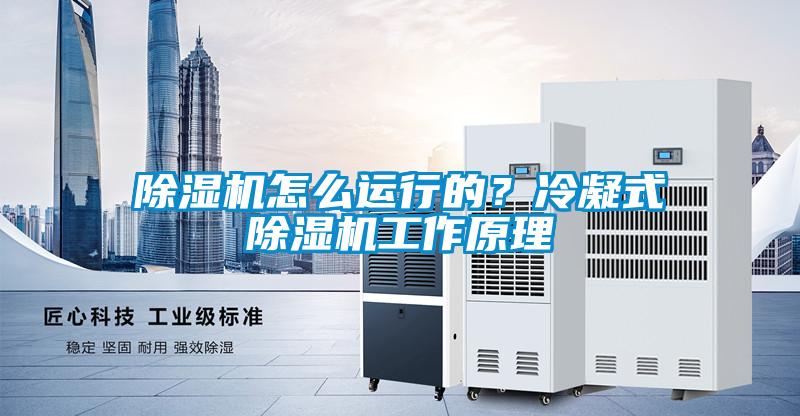 除濕機怎么運行的？冷凝式除濕機工作原理