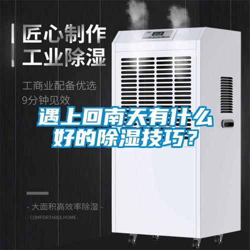 遇上回南天有什么好的除濕技巧？