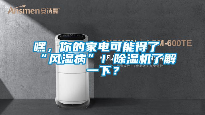 嘿，你的家電可能得了“風(fēng)濕病”！除濕機(jī)了解一下？