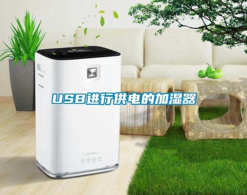 USB進行供電的加濕器