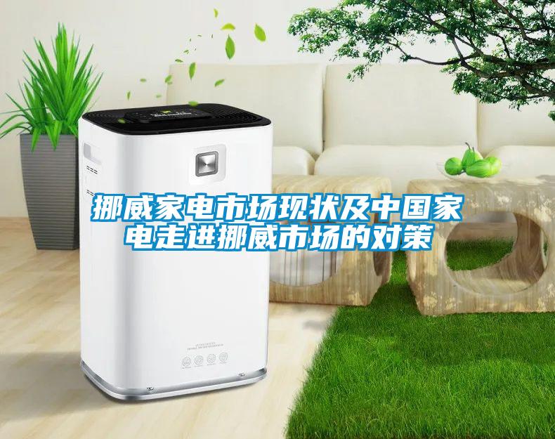 挪威家電市場現(xiàn)狀及中國家電走進(jìn)挪威市場的對策