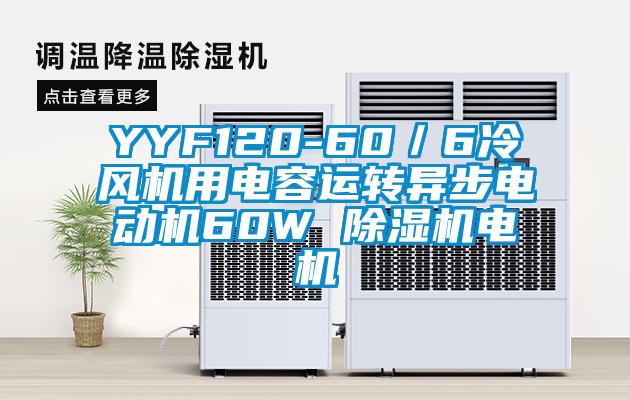 YYF120-60／6冷風(fēng)機(jī)用電容運轉(zhuǎn)異步電動機(jī)60W 除濕機(jī)電機(jī)