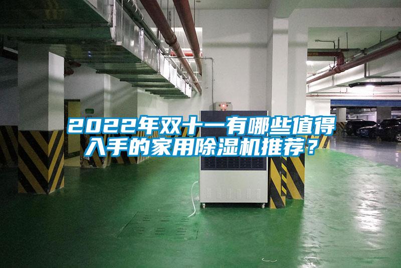 2022年雙十一有哪些值得入手的家用除濕機(jī)推薦？