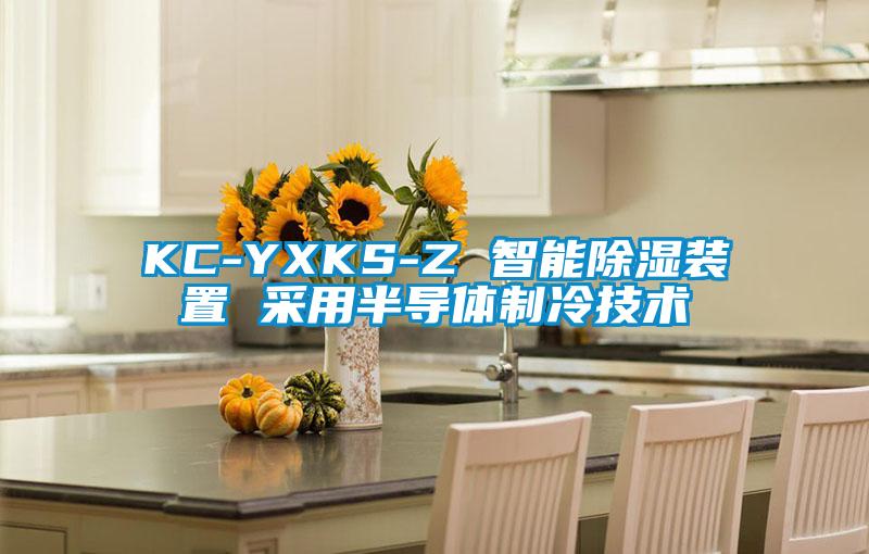 KC-YXKS-Z 智能除濕裝置 采用半導(dǎo)體制冷技術(shù)