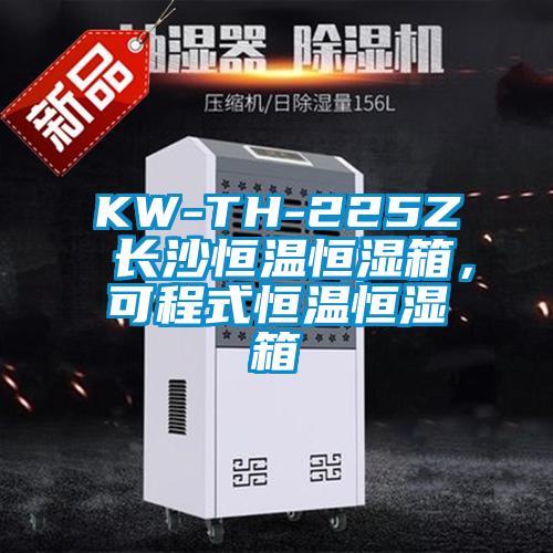 KW-TH-225Z 長沙恒溫恒濕箱，可程式恒溫恒濕箱