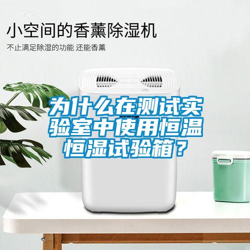 為什么在測(cè)試實(shí)驗(yàn)室中使用恒溫恒濕試驗(yàn)箱？