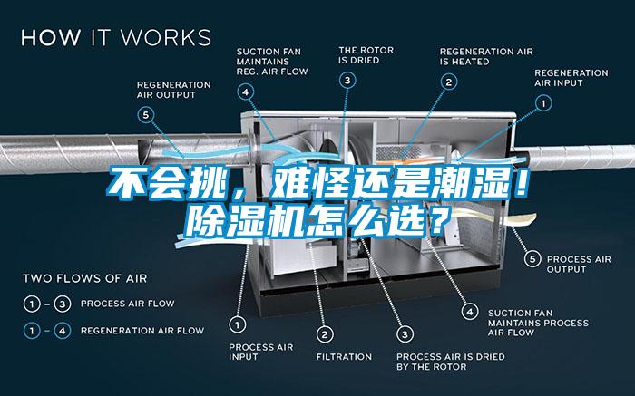 不會挑，難怪還是潮濕！除濕機怎么選？