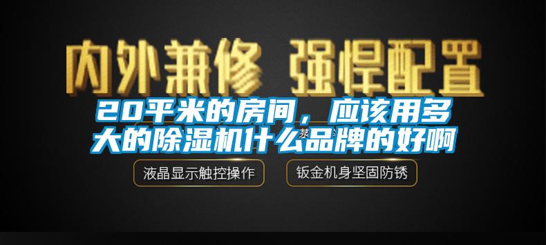 20平米的房間，應該用多大的除濕機什么品牌的好啊