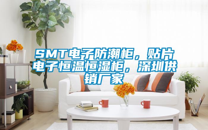 SMT電子防潮柜，貼片電子恒溫恒濕柜，深圳供銷廠家