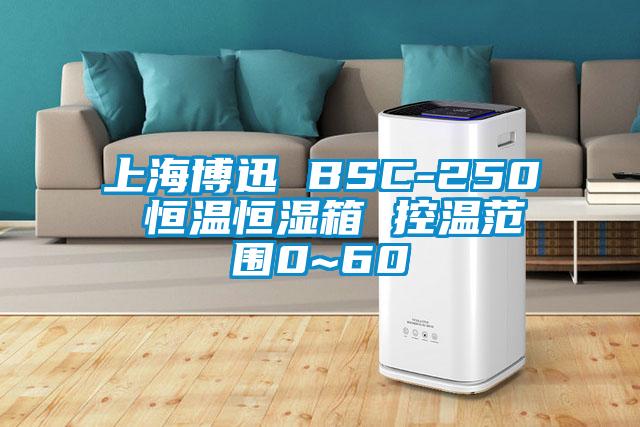 上海博迅 BSC-250 恒溫恒濕箱 控溫范圍0~60℃