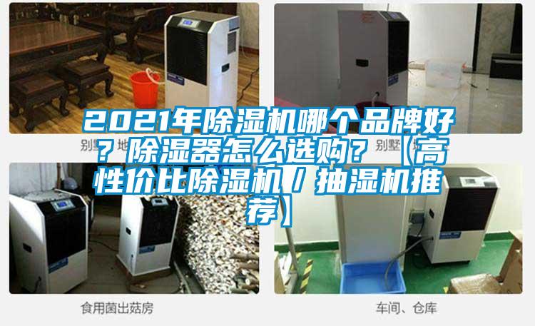 2021年除濕機哪個品牌好？除濕器怎么選購？【高性價比除濕機／抽濕機推薦】