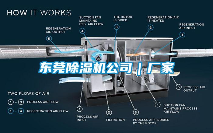 東莞除濕機(jī)公司｜廠(chǎng)家