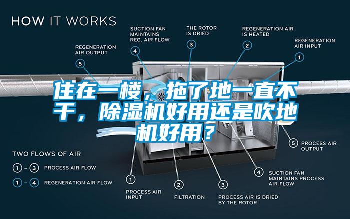 住在一樓，拖了地一直不干，除濕機好用還是吹地機好用？