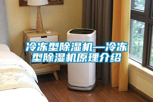 冷凍型除濕機—冷凍型除濕機原理介紹