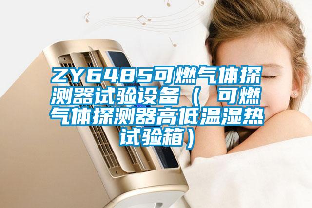 ZY6485可燃氣體探測器試驗設(shè)備（ 可燃氣體探測器高低溫濕熱試驗箱）