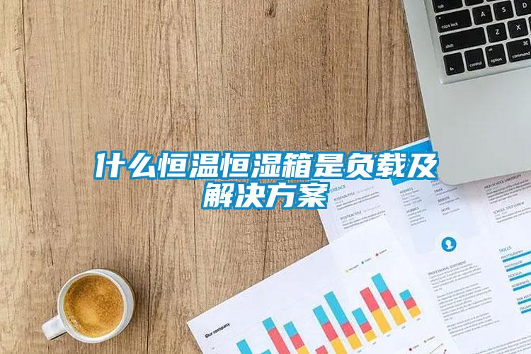 什么恒溫恒濕箱是負(fù)載及解決方案