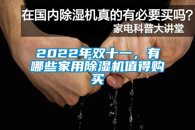 2022年雙十一，有哪些家用除濕機(jī)值得購(gòu)買