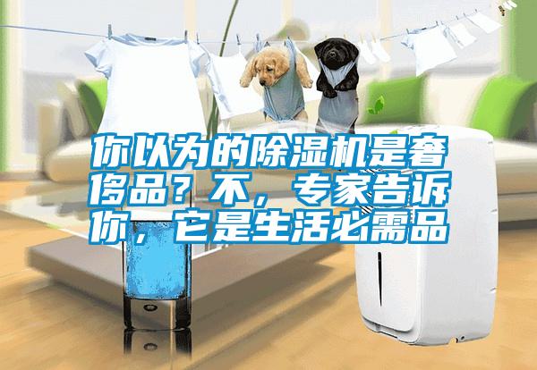 你以為的除濕機(jī)是奢侈品？不，專(zhuān)家告訴你，它是生活必需品