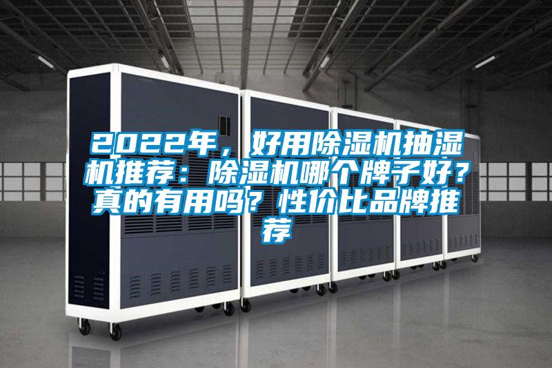 2022年，好用除濕機抽濕機推薦：除濕機哪個牌子好？真的有用嗎？性價比品牌推薦