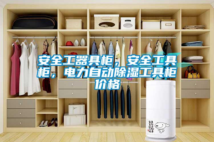 安全工器具柜，安全工具柜，電力自動(dòng)除濕工具柜價(jià)格