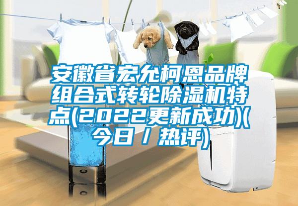 安徽省宏允柯恩品牌組合式轉(zhuǎn)輪除濕機特點(2022更新成功)(今日／熱評)