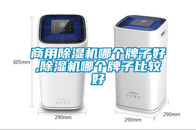 商用除濕機(jī)哪個(gè)牌子好,除濕機(jī)哪個(gè)牌子比較好