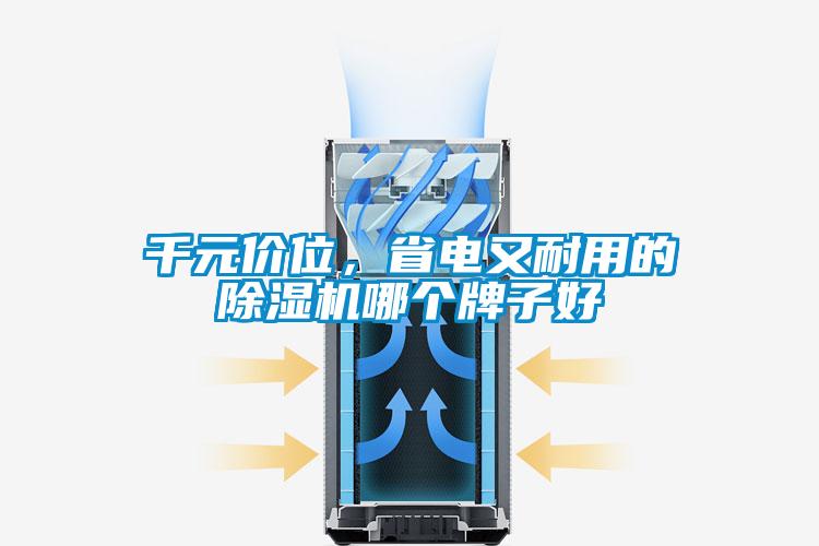 千元價位，省電又耐用的除濕機哪個牌子好