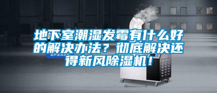 地下室潮濕發(fā)霉有什么好的解決辦法？徹底解決還得新風除濕機！