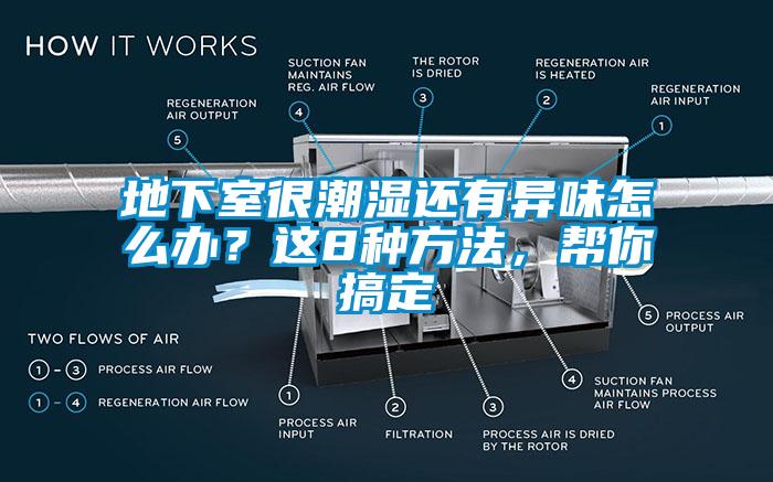 地下室很潮濕還有異味怎么辦？這8種方法，幫你搞定