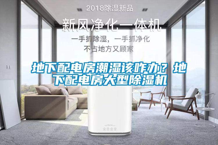 地下配電房潮濕該咋辦？地下配電房大型除濕機(jī)