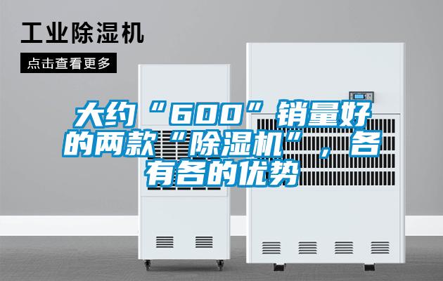 大約“600”銷量好的兩款“除濕機”，各有各的優(yōu)勢