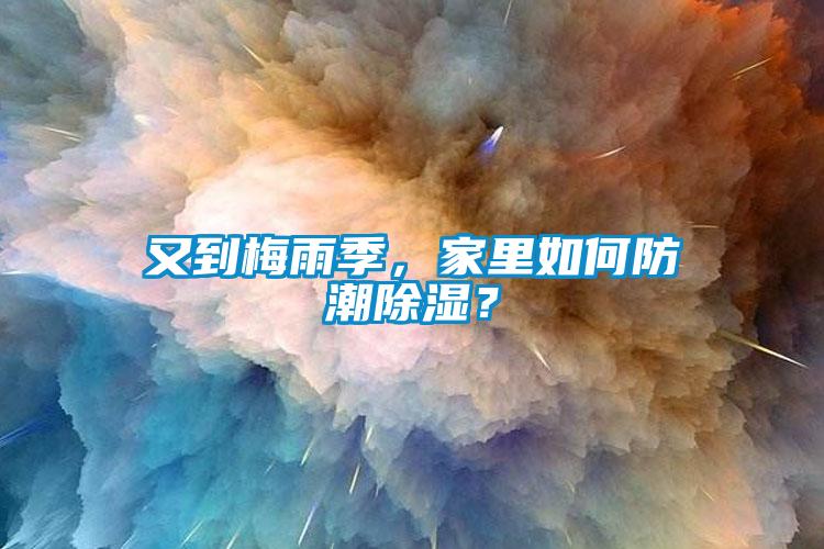 又到梅雨季，家里如何防潮除濕？