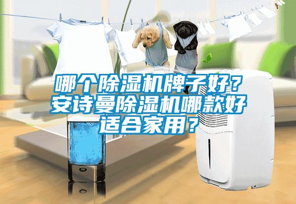 哪個除濕機牌子好？安詩曼除濕機哪款好適合家用？