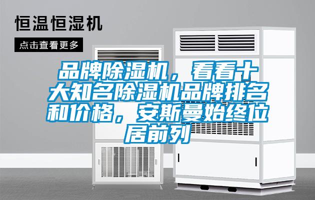 品牌除濕機，看看十大知名除濕機品牌排名和價格，安斯曼始終位居前列