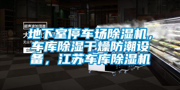 地下室停車場除濕機，車庫除濕干燥防潮設(shè)備，江蘇車庫除濕機