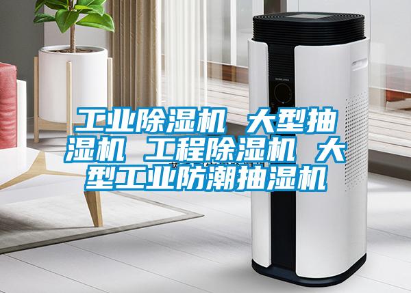 工業(yè)除濕機(jī) 大型抽濕機(jī) 工程除濕機(jī) 大型工業(yè)防潮抽濕機(jī)